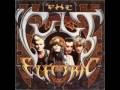 Bad fun - (The Cult)