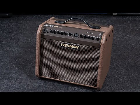 Обзор комбоусилителя Fishman Loudbox Mini Charge