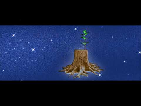 Služavke Malog Isusa: Maranatha