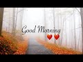 We Go With Nothing New Good Morning WhatsApp Status Love Ringtone Good Morning Status Video