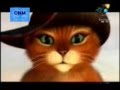 Puss In Boots Sinhala