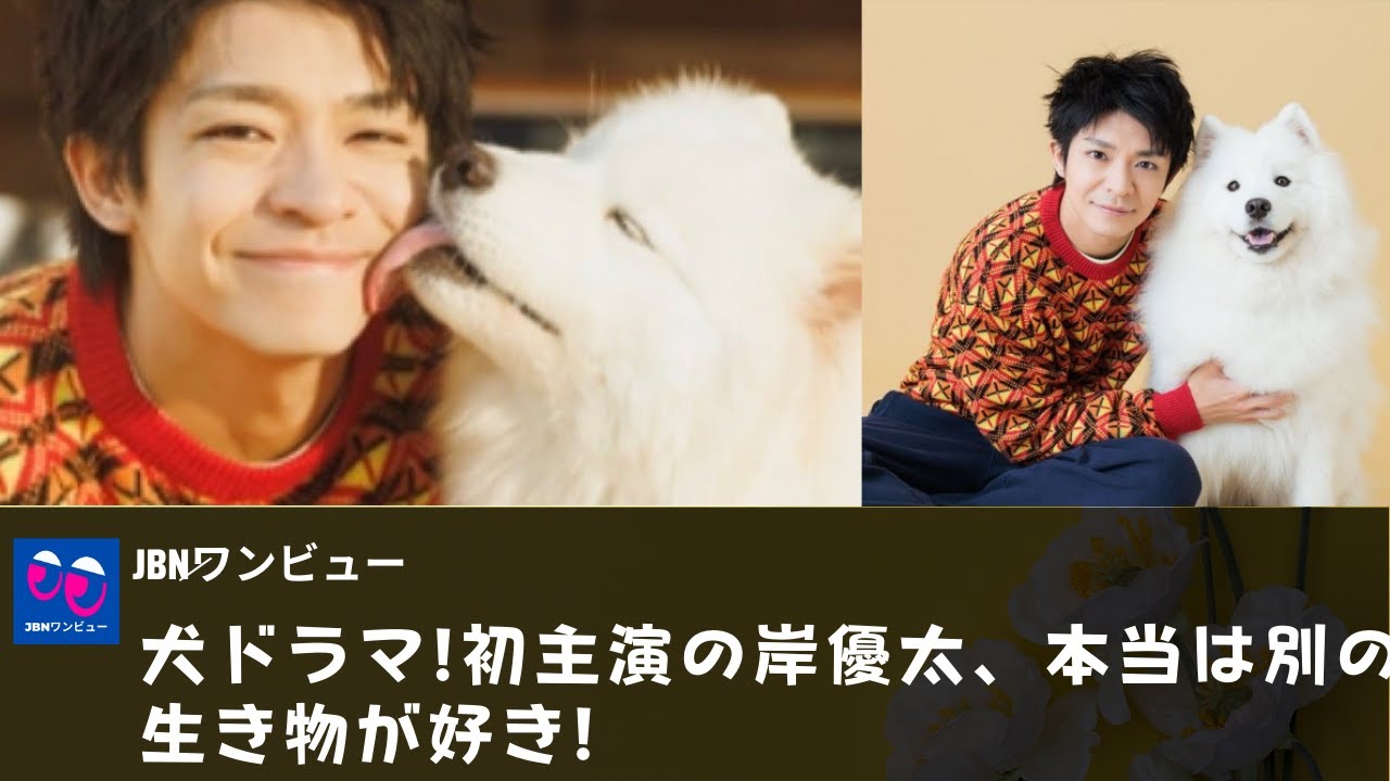【岸優太】犬ドラマ!初主演の岸優太、本当は別の生き物が好き!
