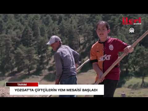 Yozgat'ta çiftçilerin yem mesaisi başladı | İleri Gazetesi