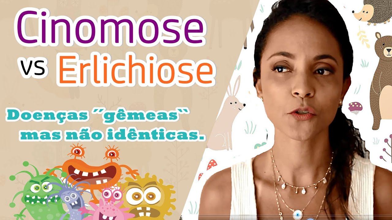 #CINOMOSE VS #EHRLICHIOSE. CASO - TOBY