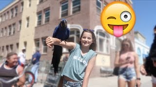 Crazy Things Happen at Venice Beach 😜 (WK 337.2) | Bratayley