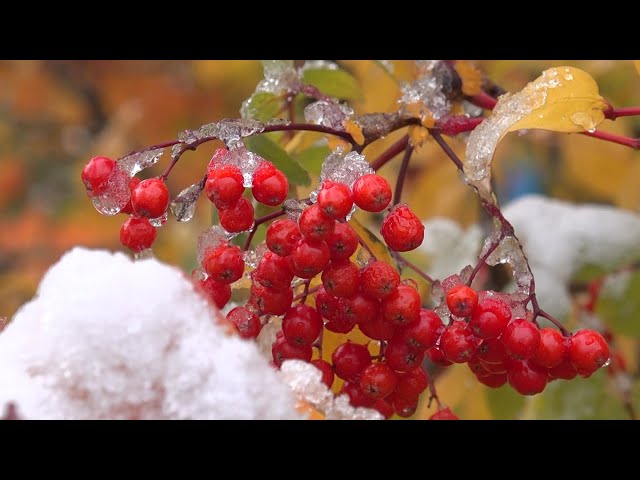 В регион придут первые серьезные морозы