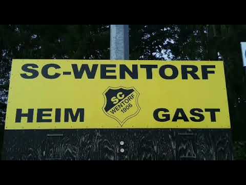Wentorf-Fsv Geesthacht 1.D   2:1     30.9.2017
