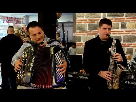 SPLET KOLA ZA POCETAK VESELJA / Darko Antic / Lavovi / Milos Markas / Milan Strasni