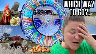 Let's Chat About Farm Ideas! We Need Your Help! Can We Make This Homestead Profitable?