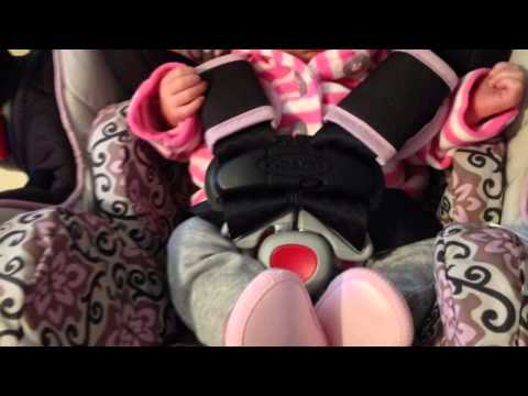 O melhor presente do mundo!!