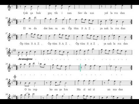 Çok Çabuk Geçtik İnan (Öptüm Yanaklarından ) (1) Nota Eşliğinde Karaoke (Ahenk: Kız Neyi - 4 Ses)