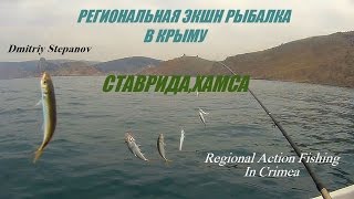 Рыбалка на ставриду в заветном крым
