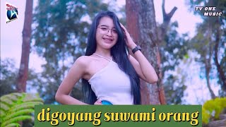 Download lagu Digoyang Suwami Orang Pargoy Yang Kalian Cari mp3