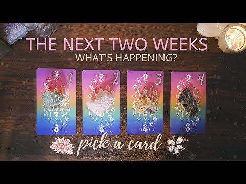 THE NEXT 2 WEEKS! WHAT'S HAPPENING? | PICK A CARD | Timeless Tarot Reading Prediction