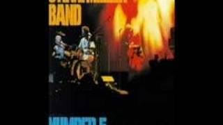 The Steve Miller Band - Tokin's