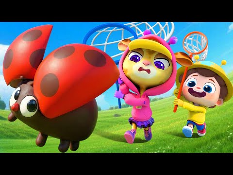 Baby Catches Bugs at Home | Learn Insects | Educational | Nursery Rhyme & Kids Songs | BabyBus
