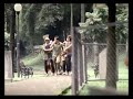 Iklan Protecal Solid Gajah Lepas 2008 2010 Trans TV Trans 7 Indosiar SCTV RCTI