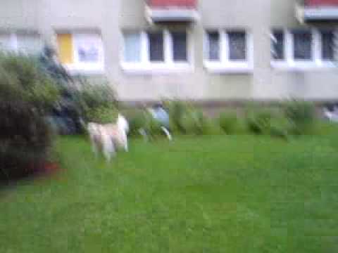 Cycu też jest hardcorem