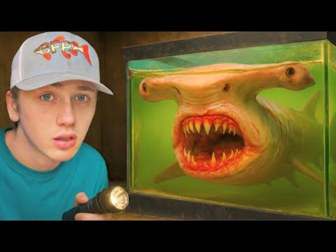 I Found The World’s Deadliest Sea Monsters…