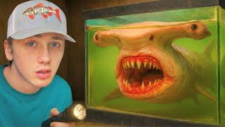 I Found an Abandoned Sea Monster…