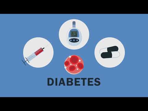 The RETN Gene and Protein: A Journey through Function and Disease