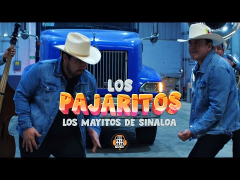 Los Mayitos de Sinaloa - Los pajaritos (video oficial)