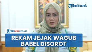 Jejak Kasus Hellyana, Wagub Babel Terseret Kasus Ijazah Palsu hingga Dugaan Penipuan Hotel
