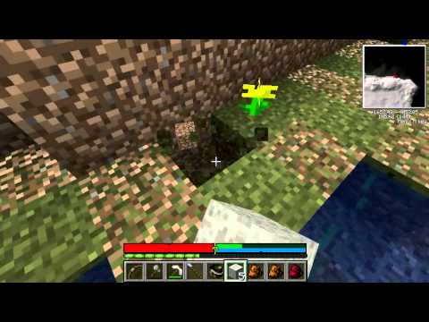 Let's Play TerraFirmaCraft - Episode 27 (Adventure)