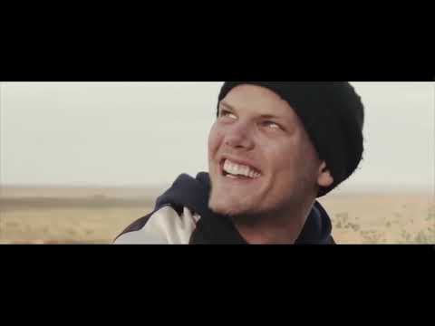 What if Avicii made - Wild Ones