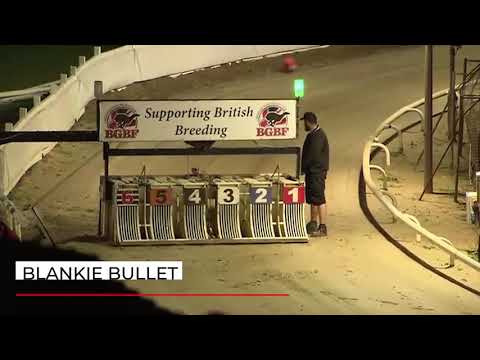 Blankies Bullet - The Greyhounds Today 476m Maiden - Heat 2