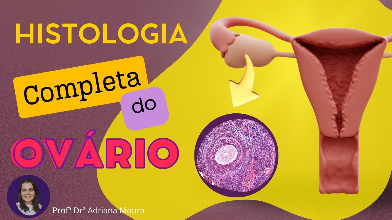 Histologia do Ovário: Estrutura, Folículos e Mais!