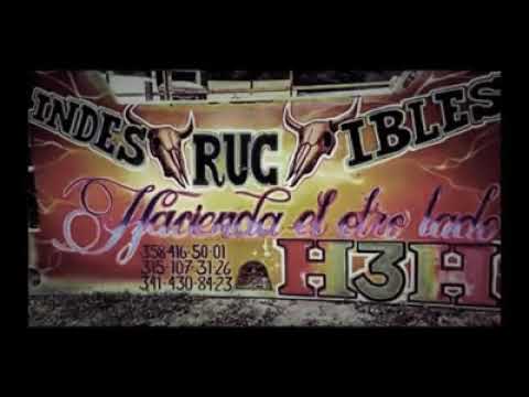 ganadería H3H Banda puro grullo