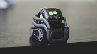 Vector is Cozmo for grownups