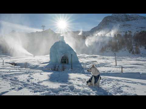 Beautiful Winter Scenes in Switzerland - Episode II