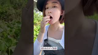 釣りに行く日のvlog #成都 #中国 #成都生活 #成都美食 #中国語 #日本人女性