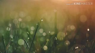 ただの報告動画