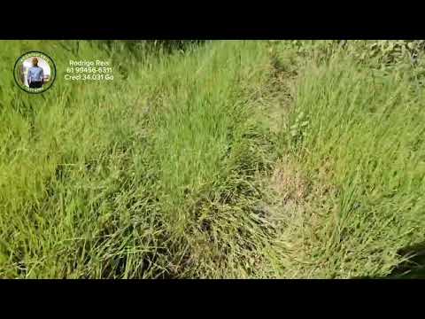 Chácaras Colorado no Lago Corumbá IV em Alexânia Goiás -  Última unidade disponível 