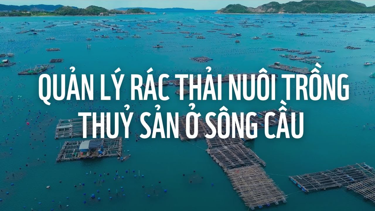 Tăng cường quản lý rác thải nuôi trồng thuỷ sản tại khu vực Sông Cầu, Phú Yên