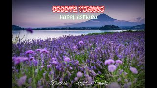 Download lagu HAPPY ASMARA || COCOTE TONGGO {{Lirik}} mp3 Download lagu HAPPY ASMARA || COCOTE TONGGO {{Lirik}} mp3