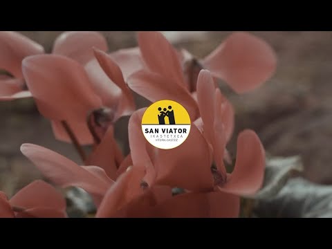 Vídeo Colegio San Viator Ikastetxea