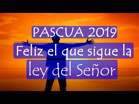 Feliz el que sigue la ley del señor padre Dario betancourt encuentro may 9