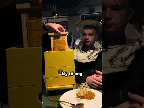 Đội Mũ Chống Ong Trước Khi Ăn Món Đặc Biệt Nhất