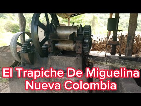 EL TRAPICHE DE MIGUELINA. Nueva Colombia, Municipio Andrés Mata..