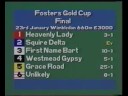 1993 Fosters Gold Cup