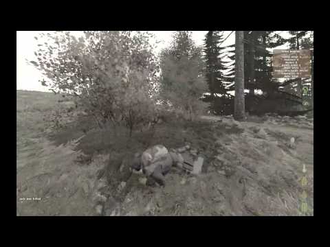 DayZ - A Day in DayZ