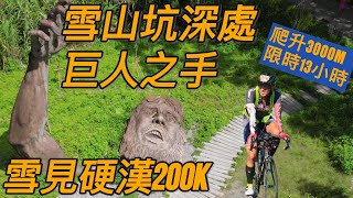 [閒聊] 瘋系列雪見巨人之手