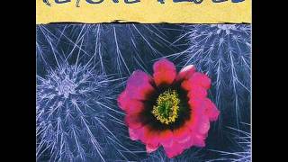 Peyote Blues-Insomnia