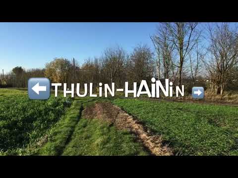 Promenade entre Hainin et Thulin