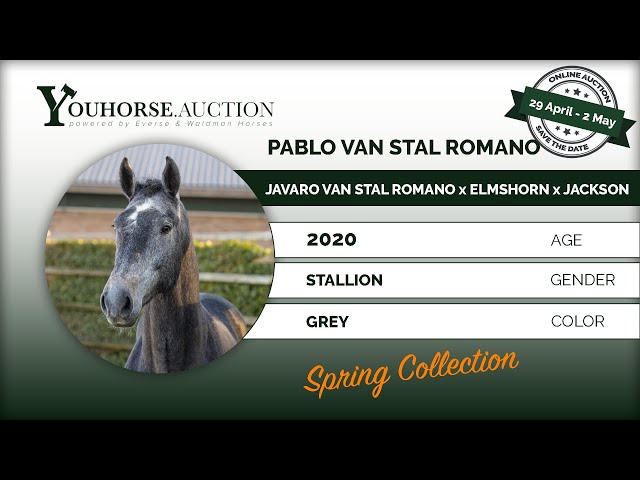 Pablo van stal Romano