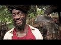 Ziggy Marley & the Melody Makers - Born to Be Lively
